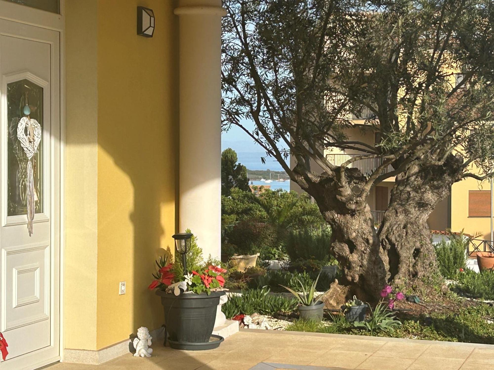 Villa Istriana Liznjan Exterior photo